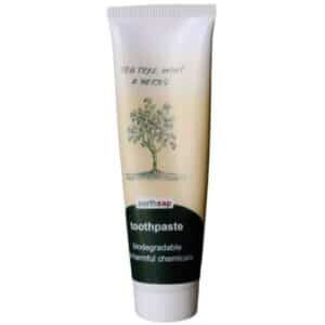 3 must have products for 2021Natural Toothpaste from Earthsap