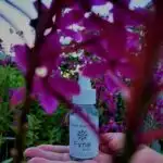 Contact Hand Sanitizer behind purple flowers